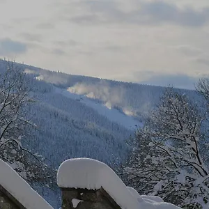 https://hotel-panorama-spindleruv-mlyn.spindleruvmlyn-hotels.com